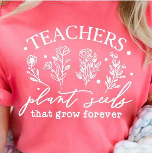 Teachers