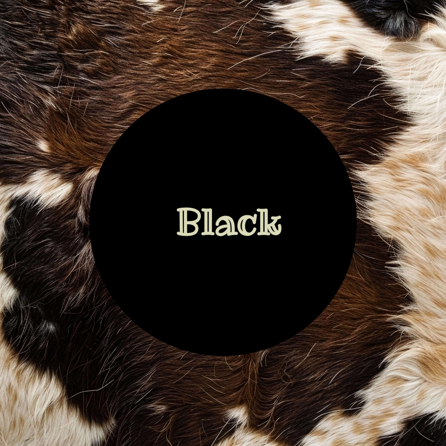Cardstock  148