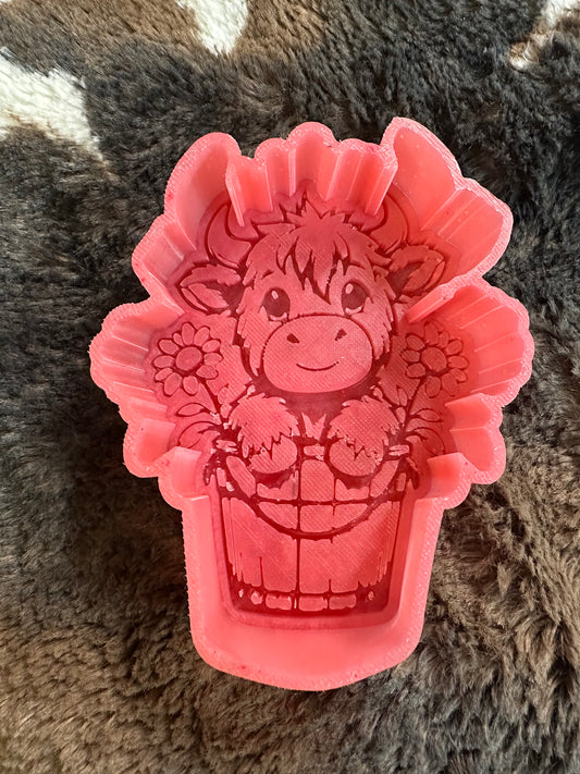 Highland in Flower Pot