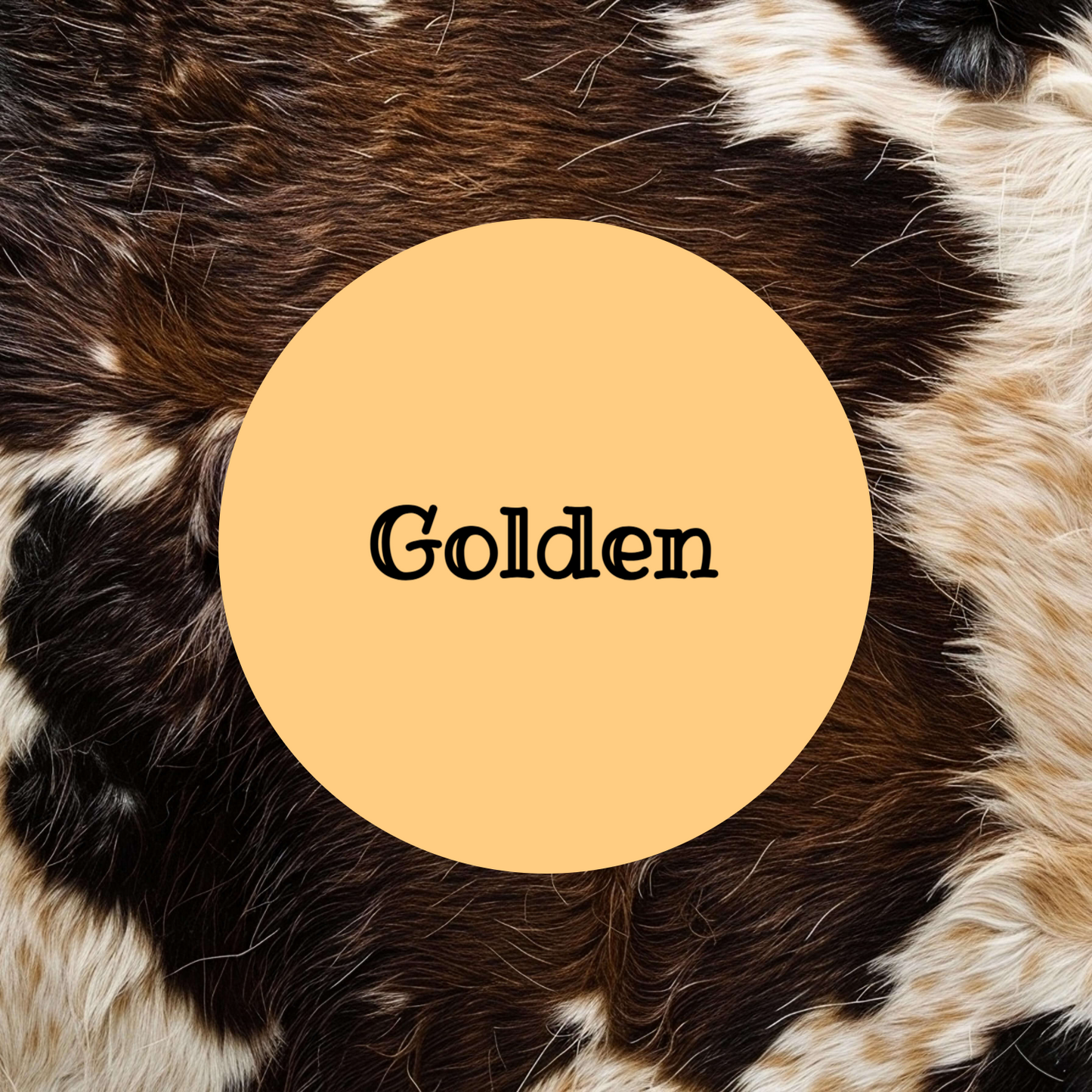 Cardstock  148
